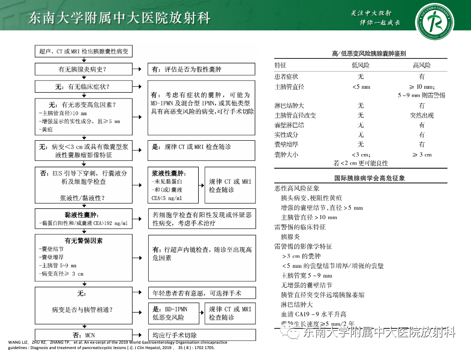 影像PPT - 【PPT】胰腺实性假乳头状瘤-37 影像PPT - 【PPT】胰腺实性假乳头状瘤-37