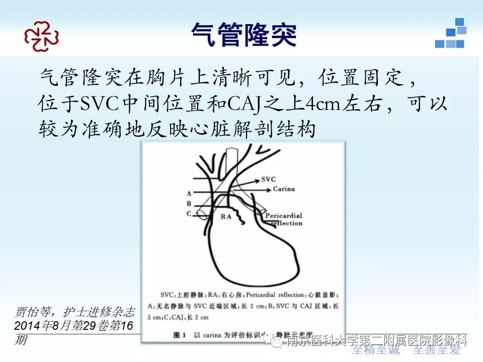 影像PPT - 【PPT】PICC管尖端胸片定位-15