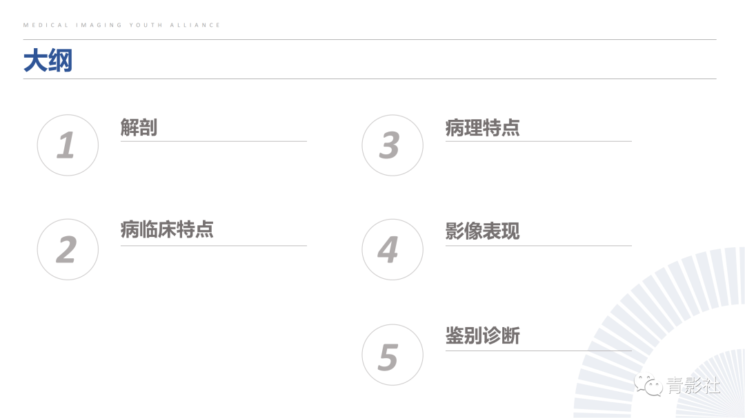 影像PPT - 【PPT】阑尾粘液性肿瘤的诊断-2