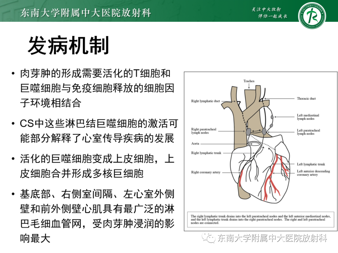 影像PPT - 【PPT】心脏结节病MR表现-50