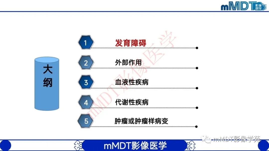 影像PPT - 【PPT】颅骨“弥漫性”增厚影像剖析-3