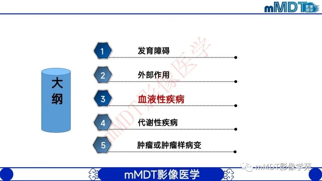 影像PPT - 【PPT】颅骨“弥漫性”增厚影像剖析-17