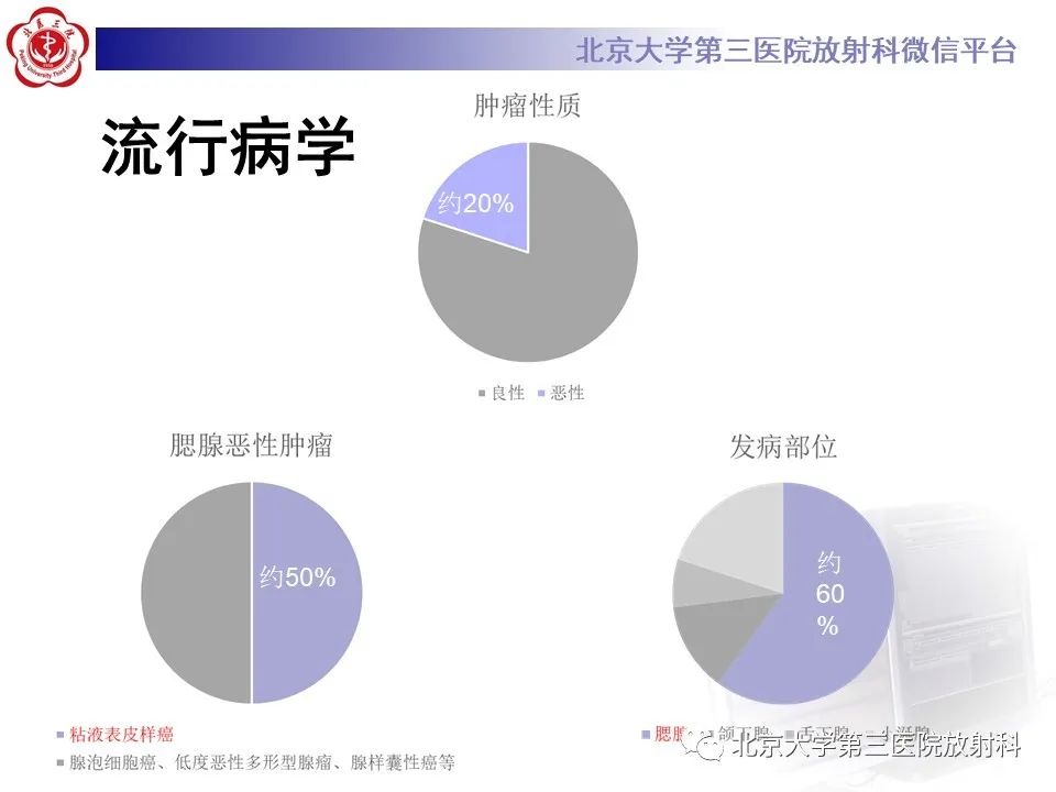 影像PPT - 【PPT】腮腺粘液表皮样癌-10