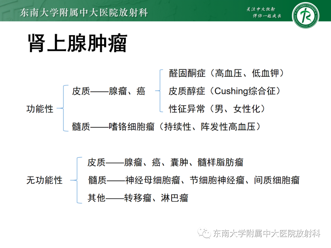 影像PPT - 【PPT】肾上腺嗜铬细胞瘤-7 影像PPT - 【PPT】肾上腺嗜铬细胞瘤-7