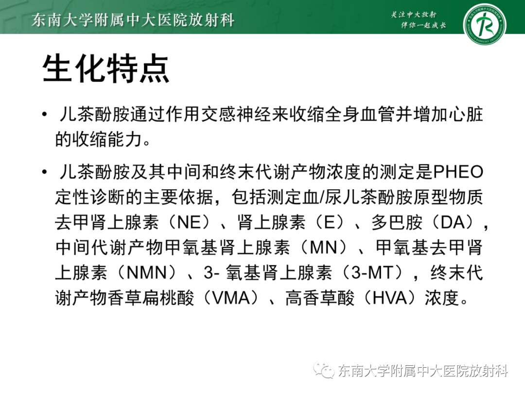影像PPT - 【PPT】肾上腺嗜铬细胞瘤-10 影像PPT - 【PPT】肾上腺嗜铬细胞瘤-10