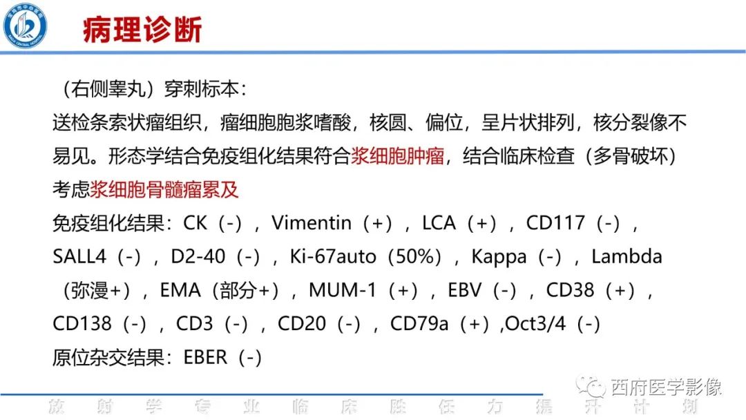 影像PPT - 【病例】睾丸浆细胞骨髓瘤1例CT及MR影像-22