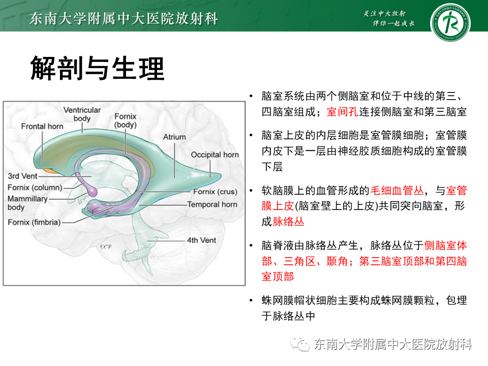 影像PPT - 【PPT】侧脑室脑膜瘤-8