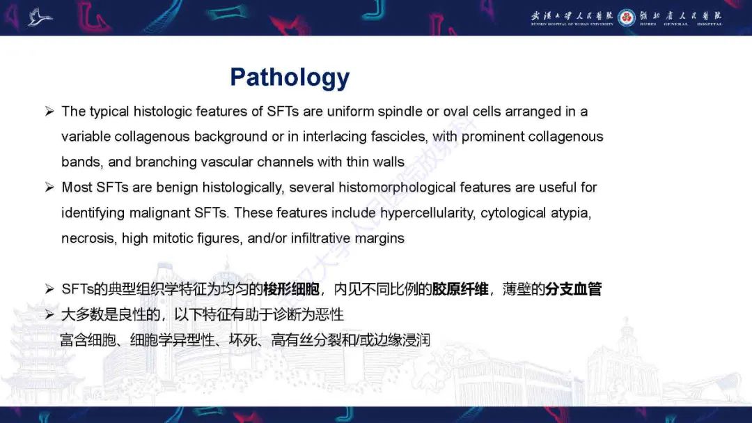影像PPT - 【PPT】脑室孤立性纤维性肿瘤影像诊断-10