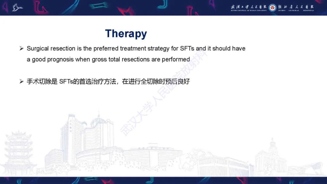 影像PPT - 【PPT】脑室孤立性纤维性肿瘤影像诊断-11