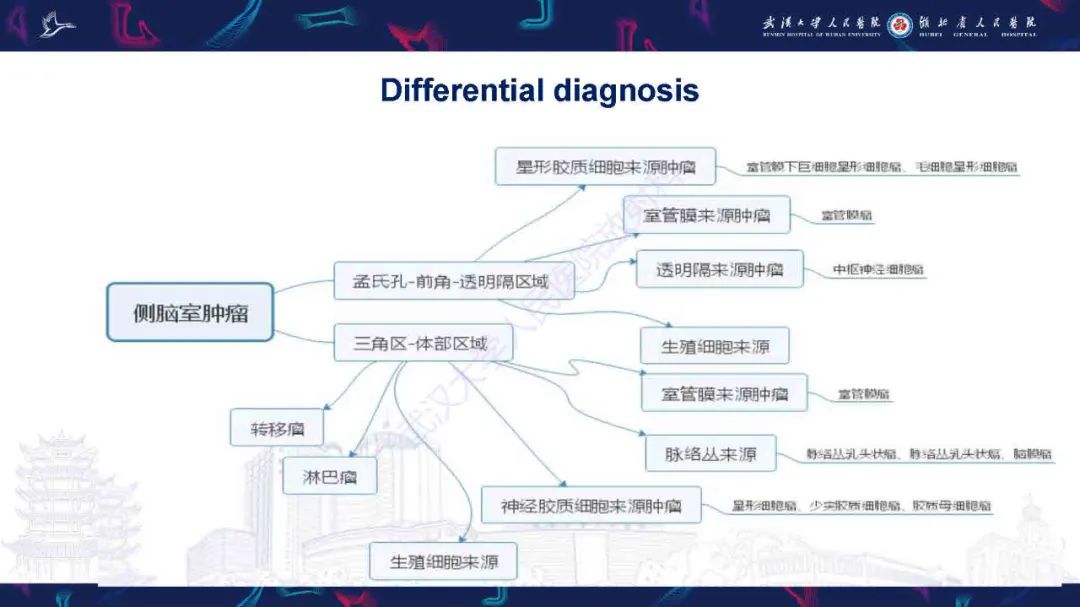 影像PPT - 【PPT】脑室孤立性纤维性肿瘤影像诊断-21
