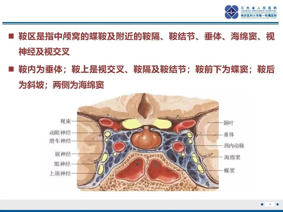 影像PPT - 【PPT】神经垂体颗粒细胞瘤-11