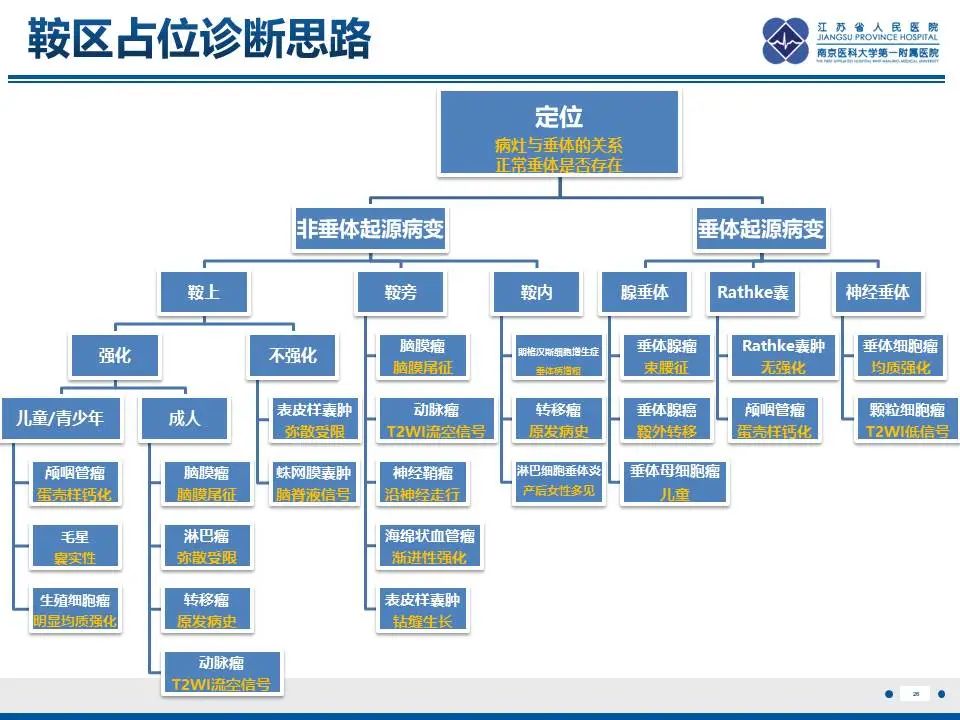 影像PPT - 【PPT】神经垂体颗粒细胞瘤-27