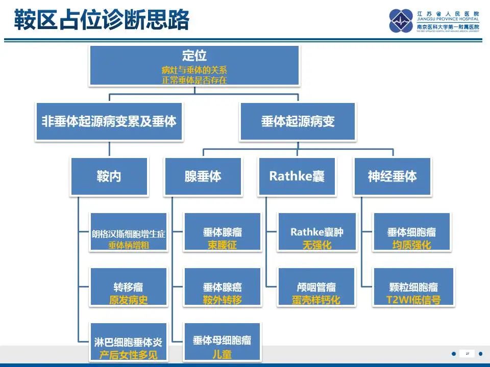 影像PPT - 【PPT】神经垂体颗粒细胞瘤-28