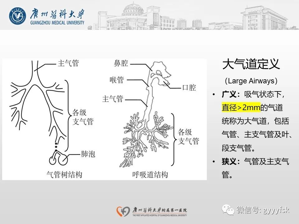 影像PPT - 【病例】支气管淀粉样变1例CT影像-19
