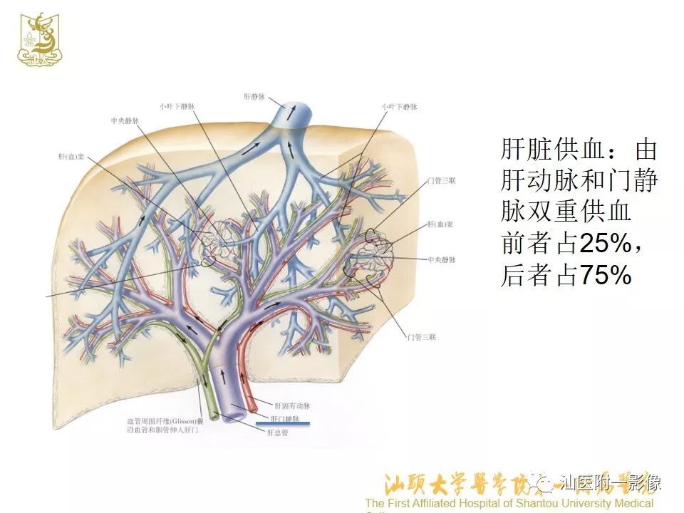 影像PPT - 【PPT】肝脏“快进快出强化” 肿瘤简析-2