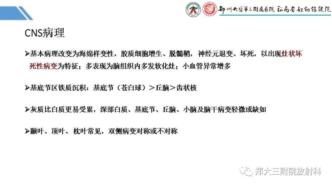 影像PPT - 【PPT】Melas综合征的影像诊断-17