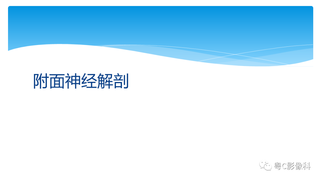 影像PPT - 【PPT】亨特综合征-27 影像PPT - 【PPT】亨特综合征-27