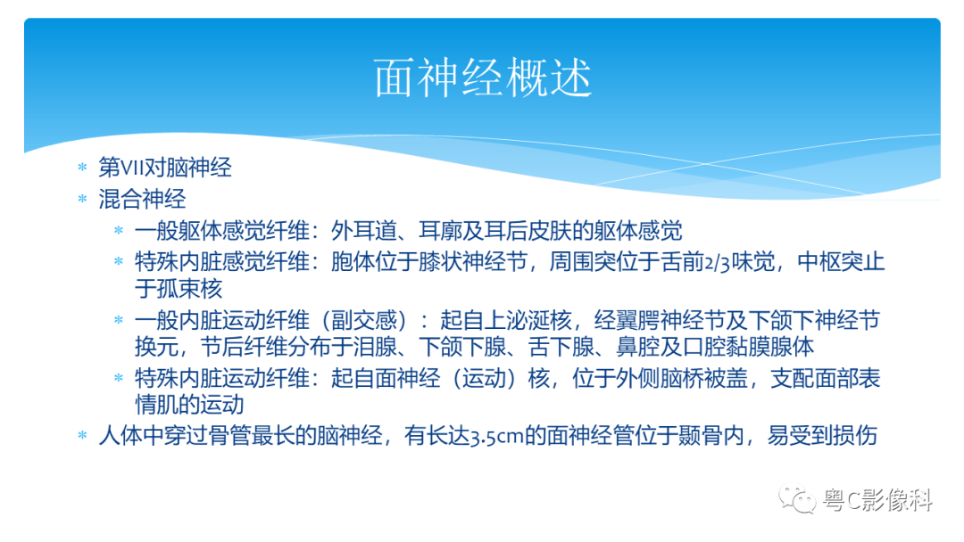 影像PPT - 【PPT】亨特综合征-28 影像PPT - 【PPT】亨特综合征-28