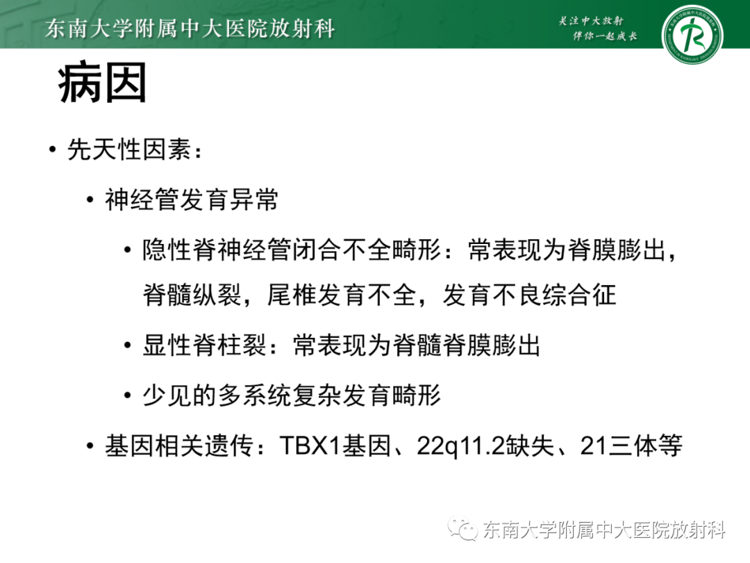 影像PPT - 【PPT】脊髓栓系综合征-15 影像PPT - 【PPT】脊髓栓系综合征-15
