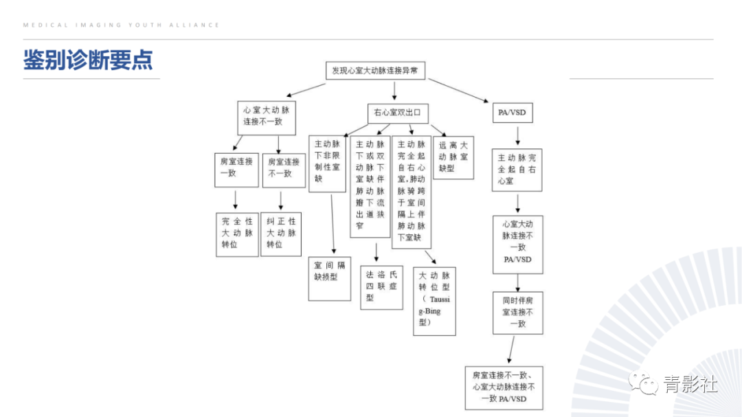 影像PPT - 【PPT】心室大动脉连接异常的先心病的鉴别诊断-31