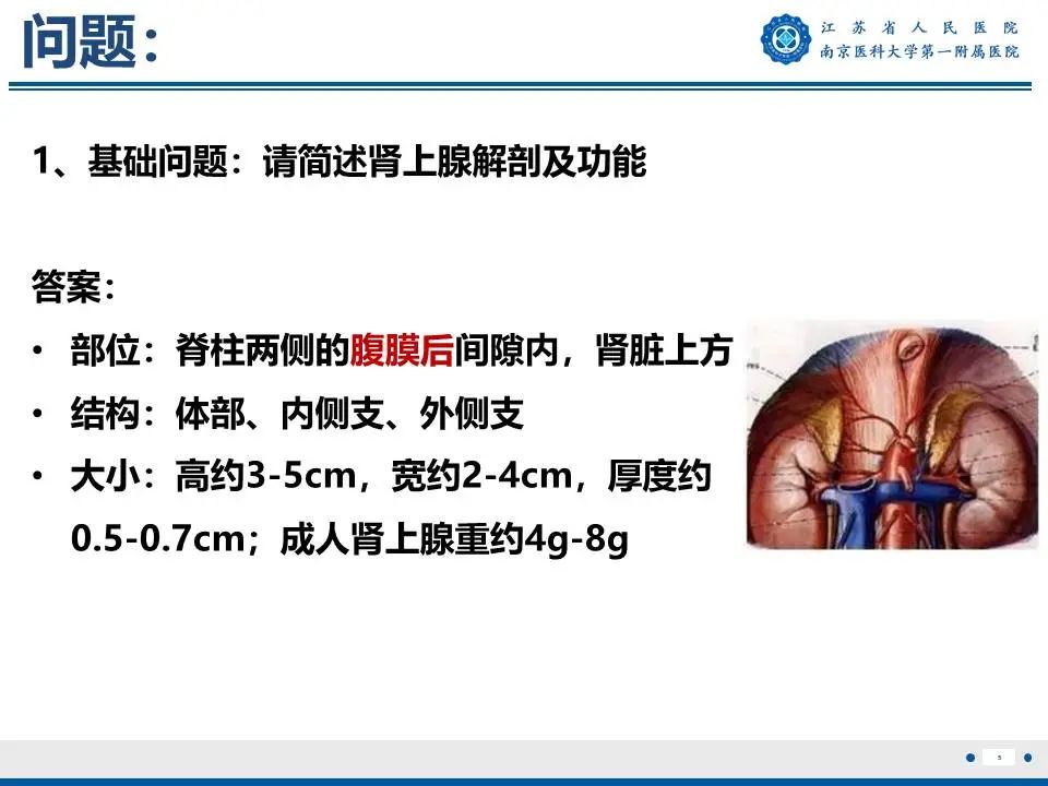 影像PPT - 【PPT】原发性醛固酮增多症-6