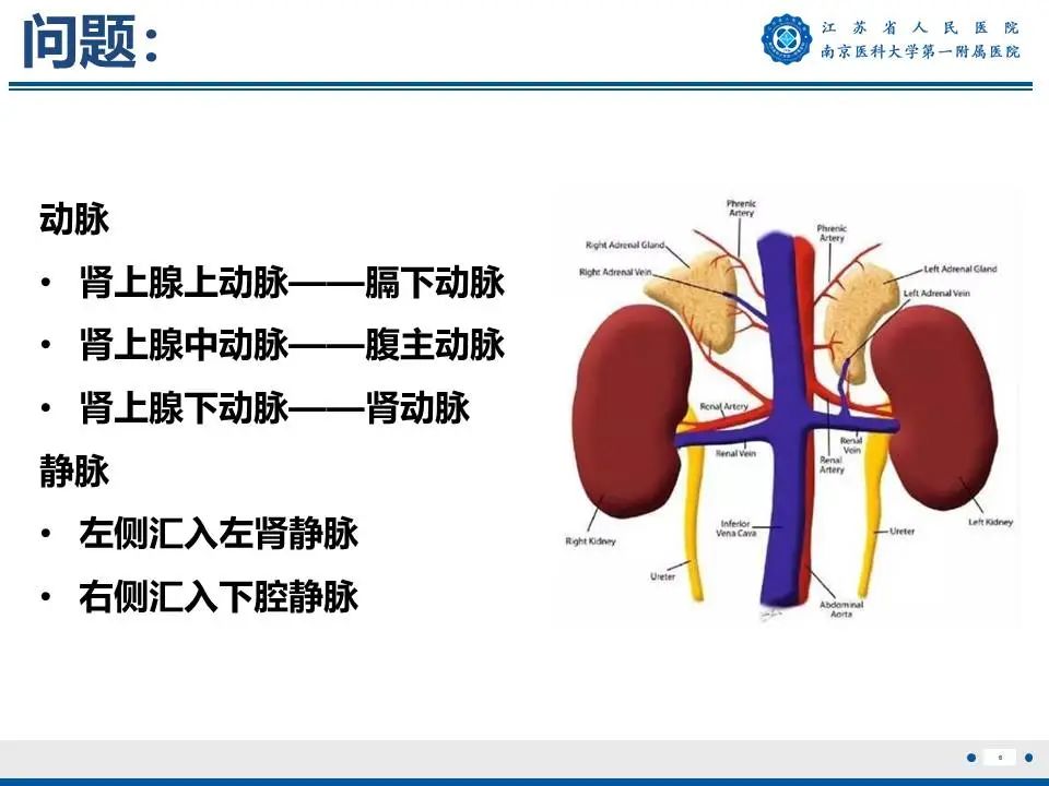 影像PPT - 【PPT】原发性醛固酮增多症-7