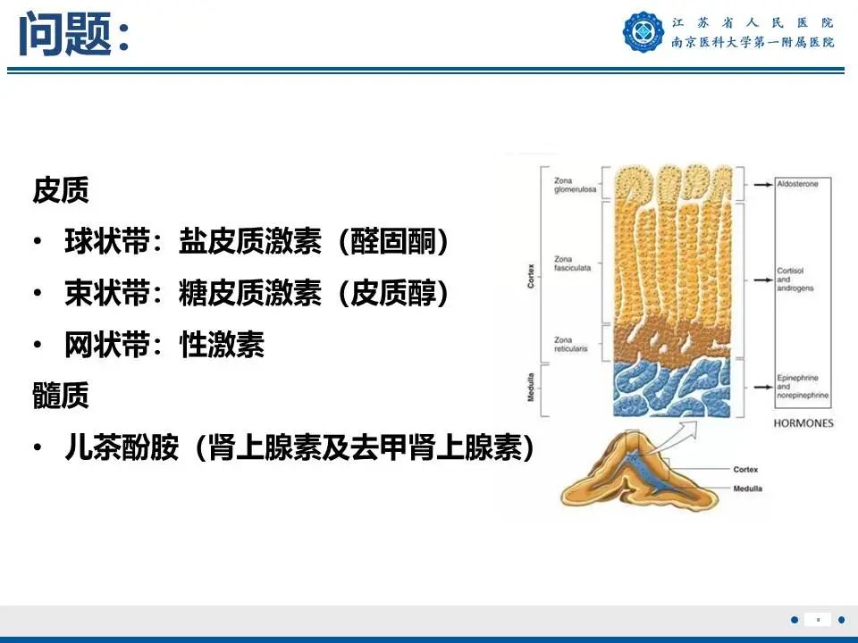 影像PPT - 【PPT】原发性醛固酮增多症-9