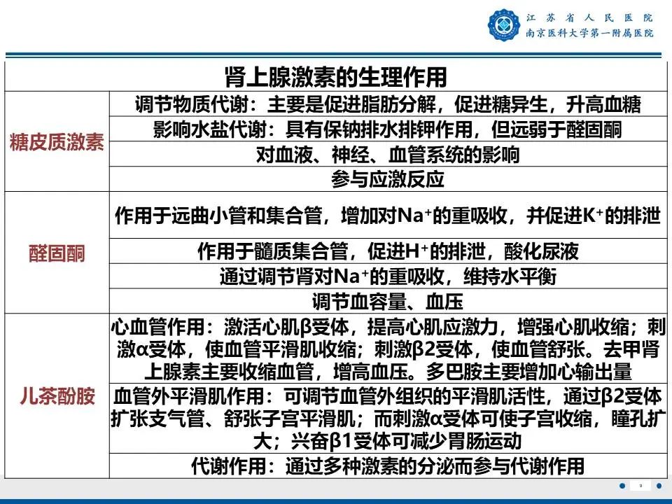 影像PPT - 【PPT】原发性醛固酮增多症-10