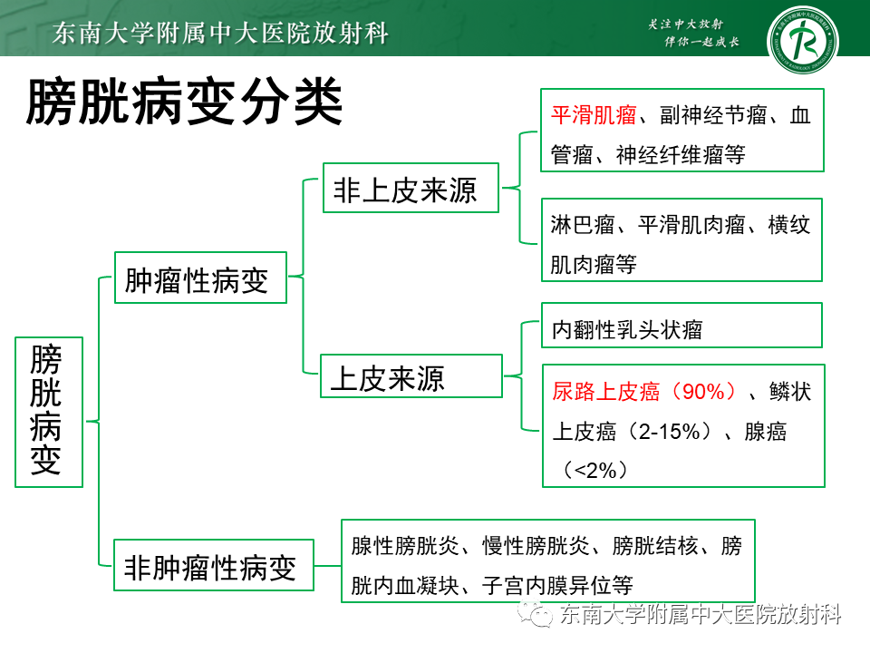 影像PPT - 【PPT】膀胱平滑肌瘤-7