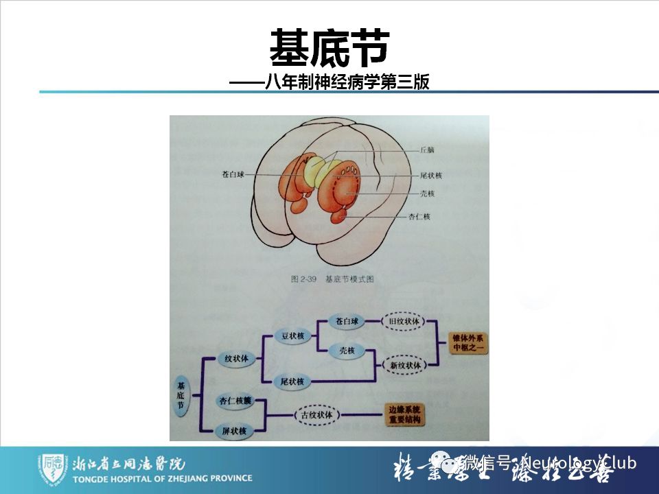 影像PPT - 【PPT】双侧基底节病变的影像诊断和鉴别诊断-4