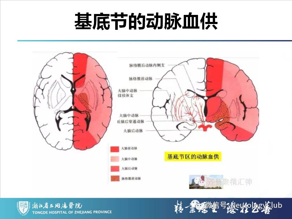 影像PPT - 【PPT】双侧基底节病变的影像诊断和鉴别诊断-94