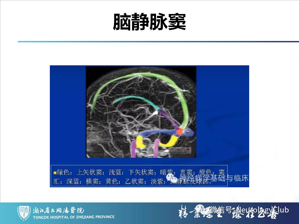 影像PPT - 【PPT】双侧基底节病变的影像诊断和鉴别诊断-97