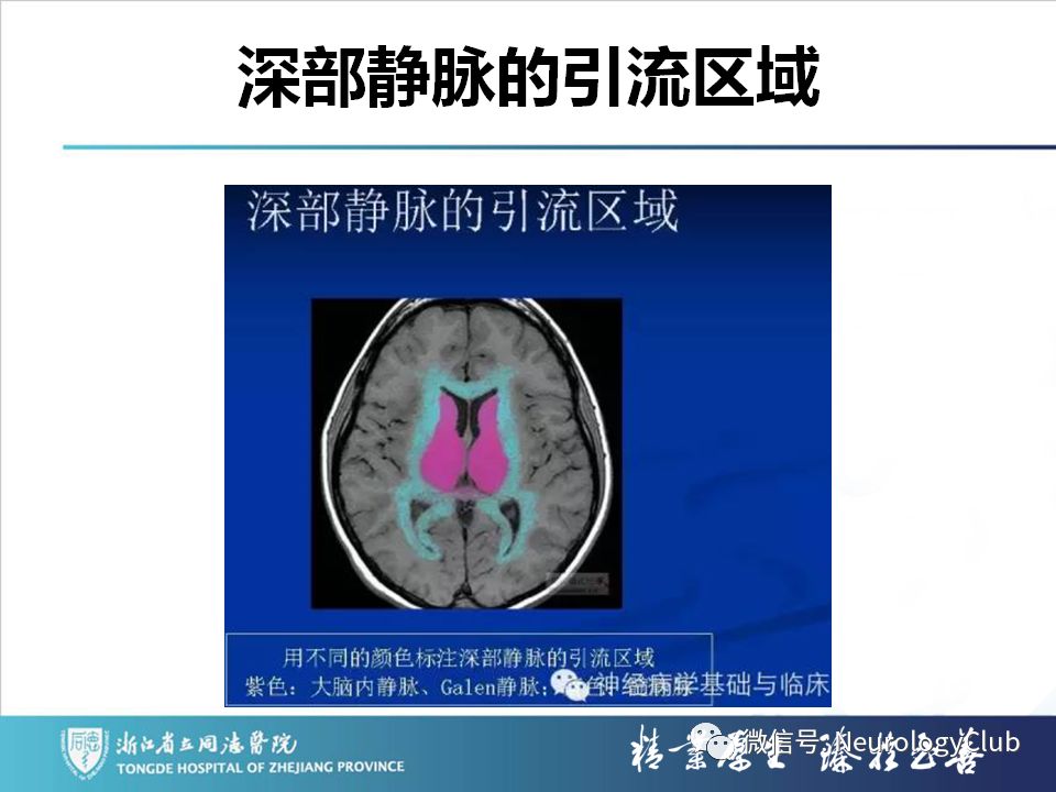 影像PPT - 【PPT】双侧基底节病变的影像诊断和鉴别诊断-101