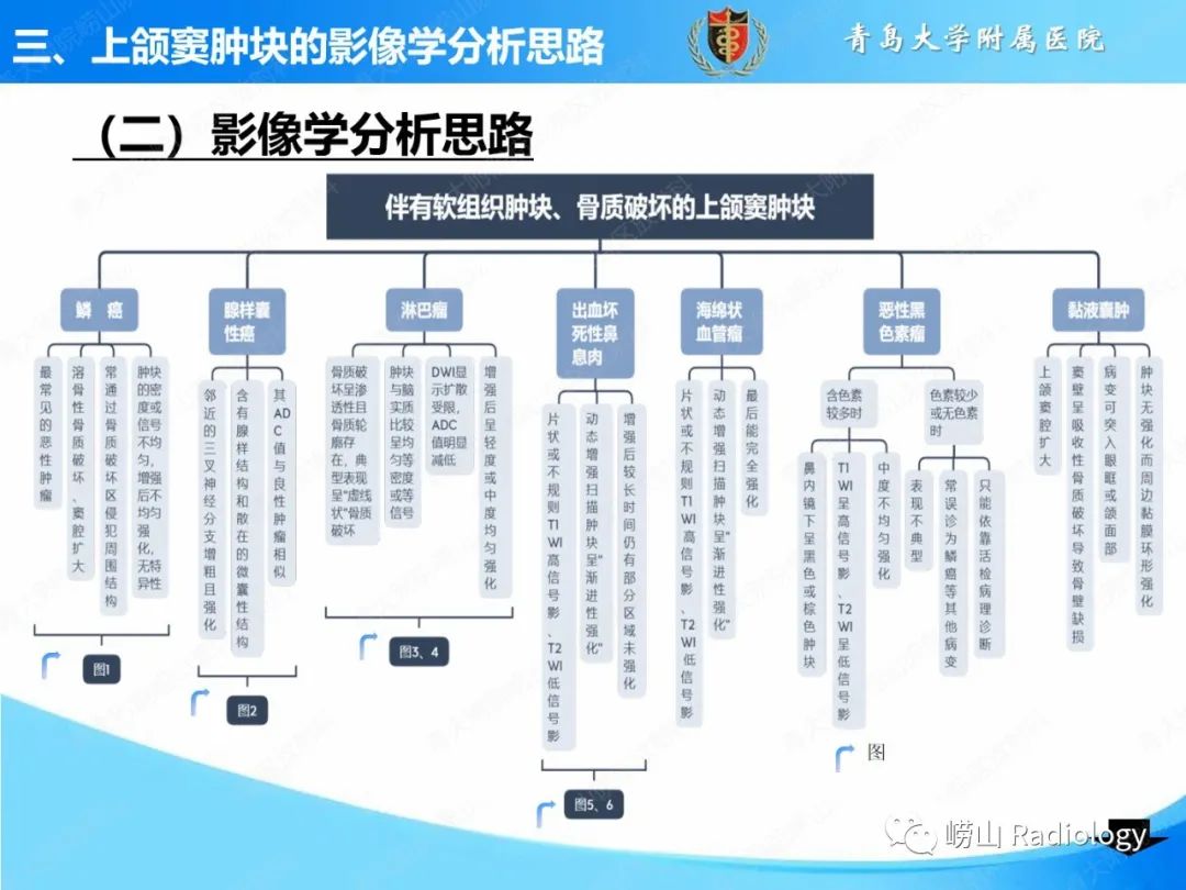 影像PPT - 【PPT】鼻腔鼻窦肿瘤和肿瘤样病变的影像学分析思路-9