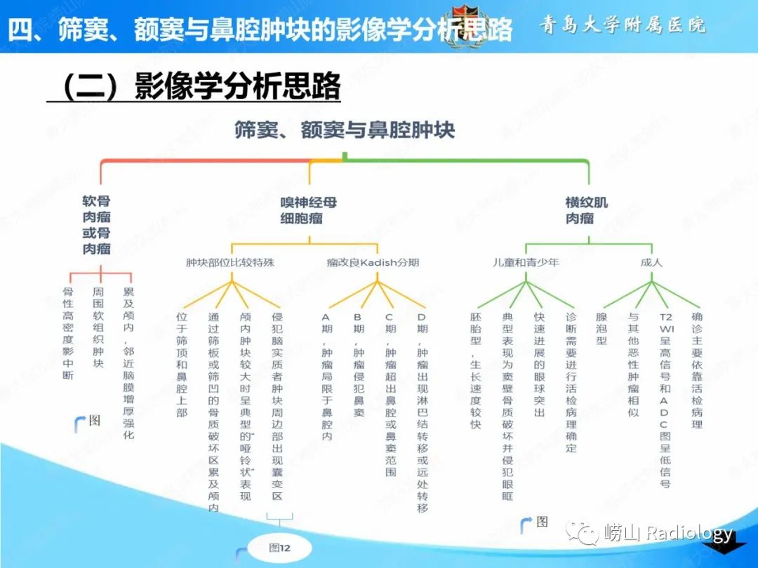 影像PPT - 【PPT】鼻腔鼻窦肿瘤和肿瘤样病变的影像学分析思路-25