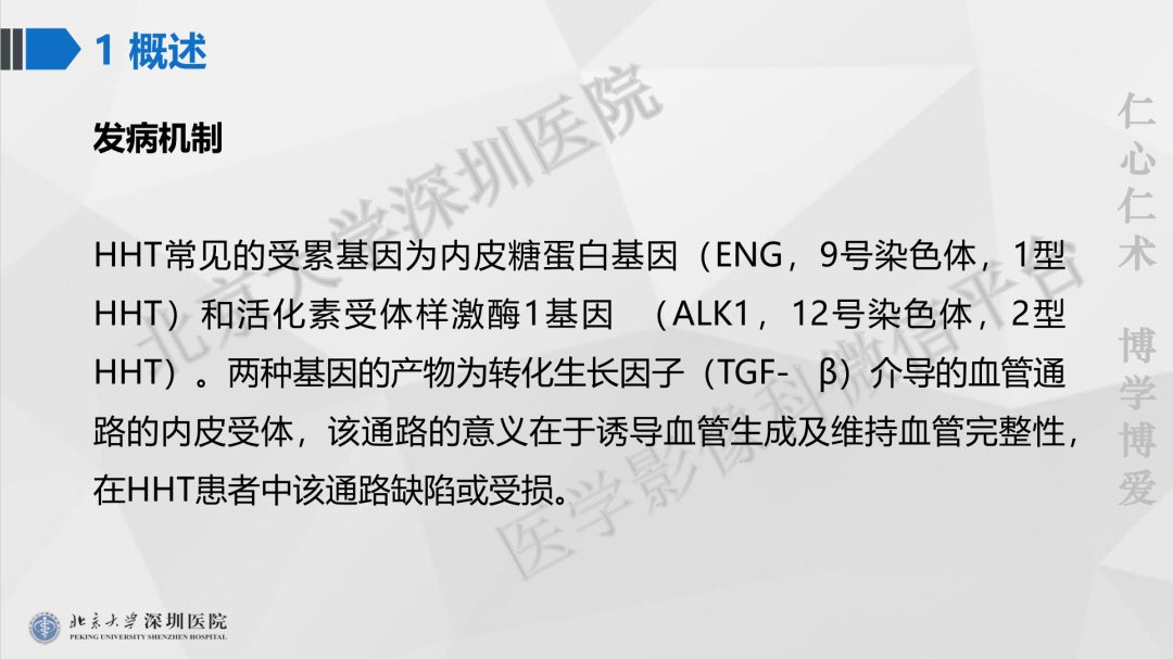 影像PPT - 【PPT】遗传性出血性毛细血管扩张症-19
