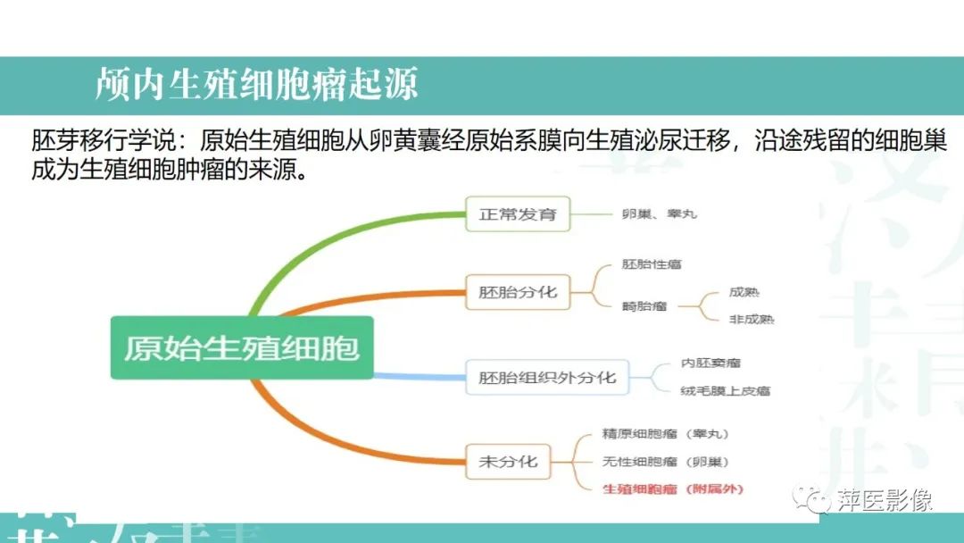 影像PPT - 【PPT】颅内生殖细胞瘤影像表现及鉴别诊断-2