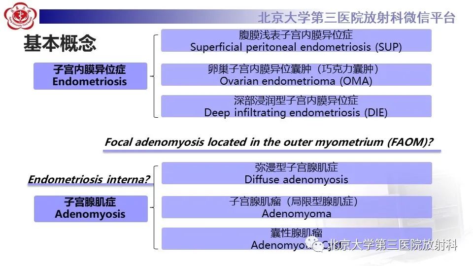 影像PPT - 【PPT】子宫内膜异位症和子宫腺肌症-3