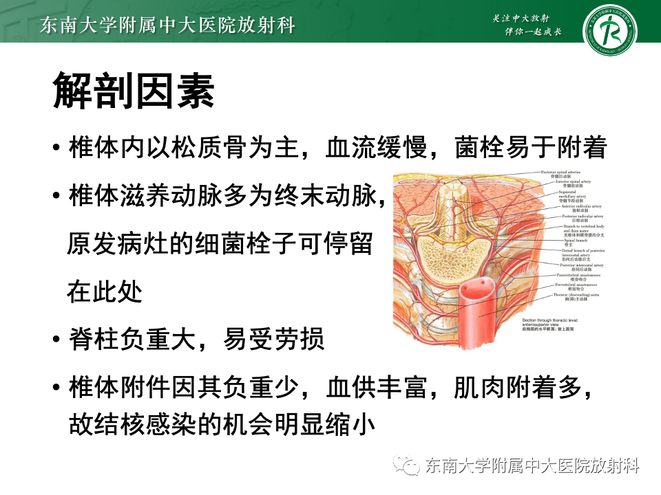 影像PPT - 【PPT】脊柱结核影像诊断-10 影像PPT - 【PPT】脊柱结核影像诊断-10