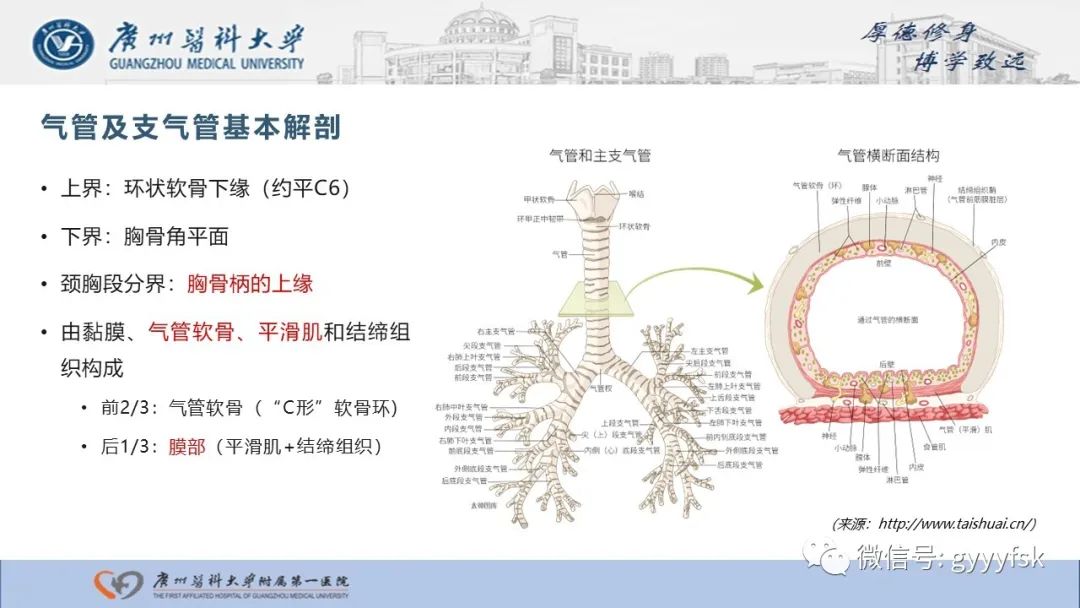 影像PPT - 【病例】复发性多软骨炎1例CT影像-8