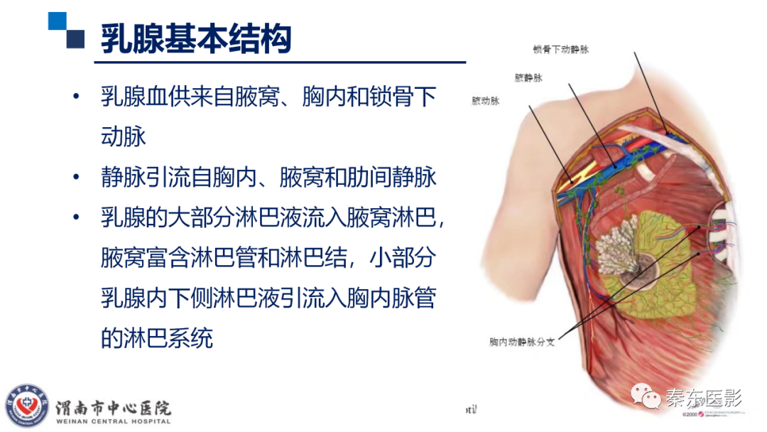 影像PPT - 【PPT】乳腺叶状肿瘤的影像表现-15