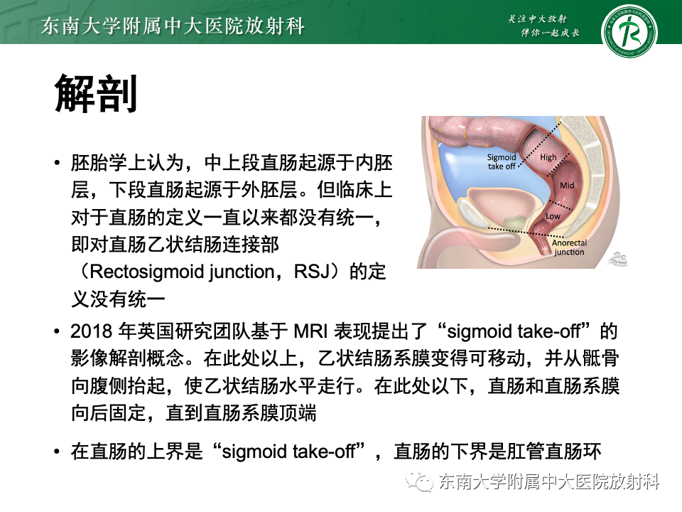 影像PPT - 【PPT】直肠癌影像学诊断与分期-4