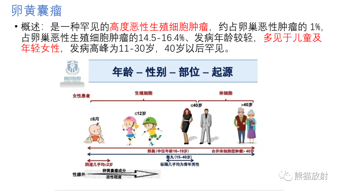 影像PPT - 【病例】腹膜后肾上腺区卵黄囊瘤1例CT影像-11