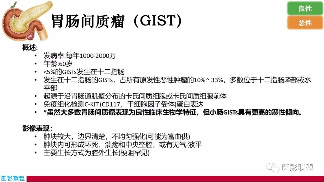 影像PPT - 【PPT】十二指肠断面成像：疾病谱-27