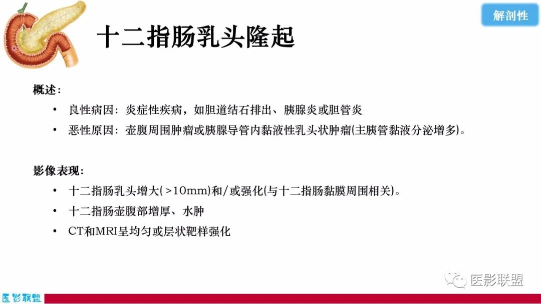 影像PPT - 【PPT】十二指肠断面成像：疾病谱-47