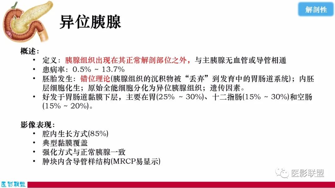 影像PPT - 【PPT】十二指肠断面成像：疾病谱-49