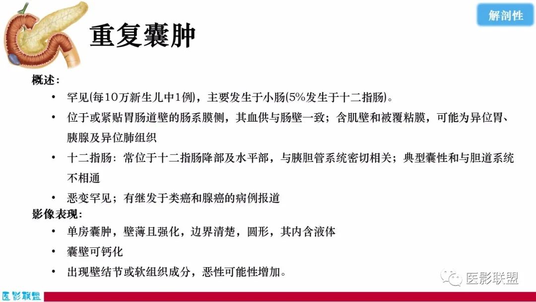 影像PPT - 【PPT】十二指肠断面成像：疾病谱-53