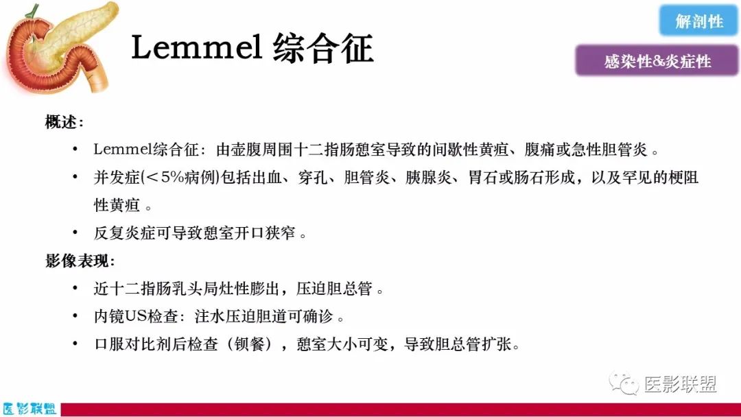 影像PPT - 【PPT】十二指肠断面成像：疾病谱-55