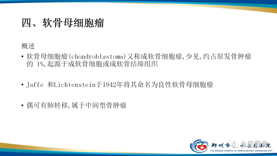 影像PPT - 【PPT】中间型骨肿瘤的影像诊断及鉴别诊断-29