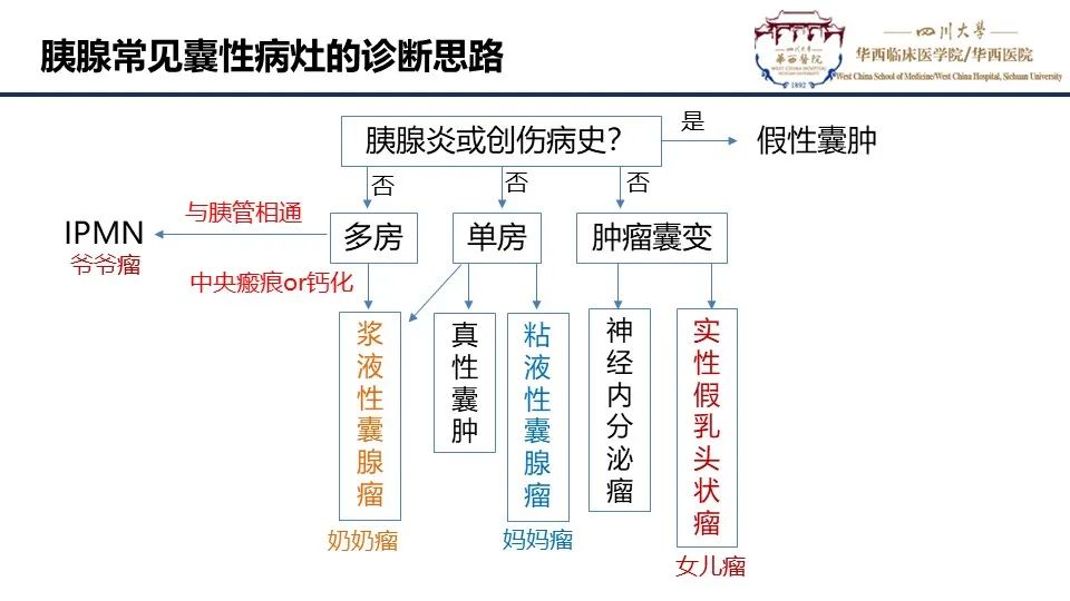 影像PPT - 【PPT】胰腺神经内分泌肿瘤-22